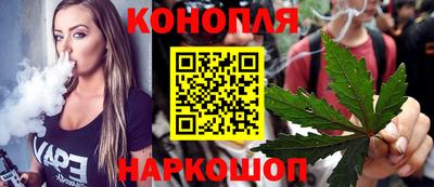 хмурый Новозыбков