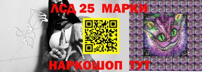 первитин Новодвинск