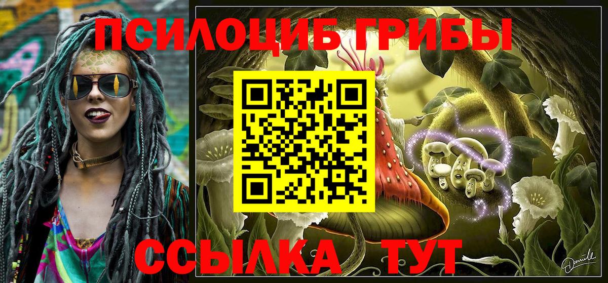 купить наркотики цена  Галлюциногенные грибы мухоморы  Вход с VPN  Спасск-Дальний 