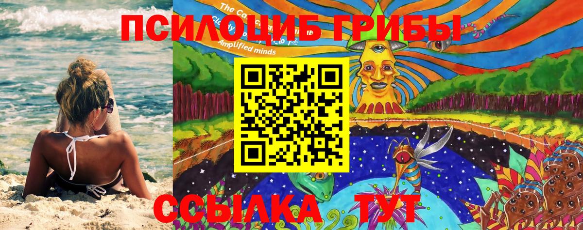 Галлюциногенные грибы мицелий Спасск-Дальний